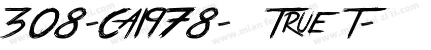 308-CAI978-常规True T字体转换